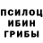 Псилоцибиновые грибы Magic Shrooms Suravu ikku