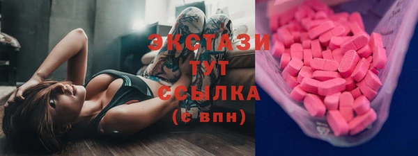 крисы Няндома