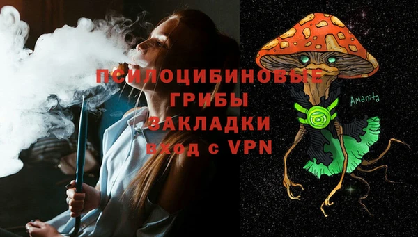 крисы Няндома