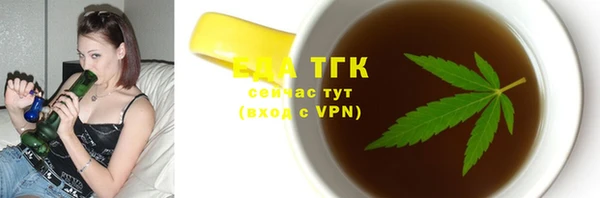 крисы Няндома